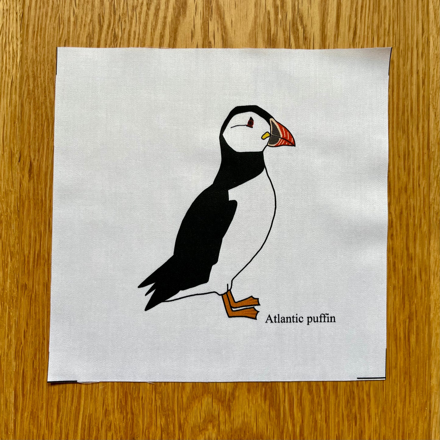 Atlantic puffin fabric squares