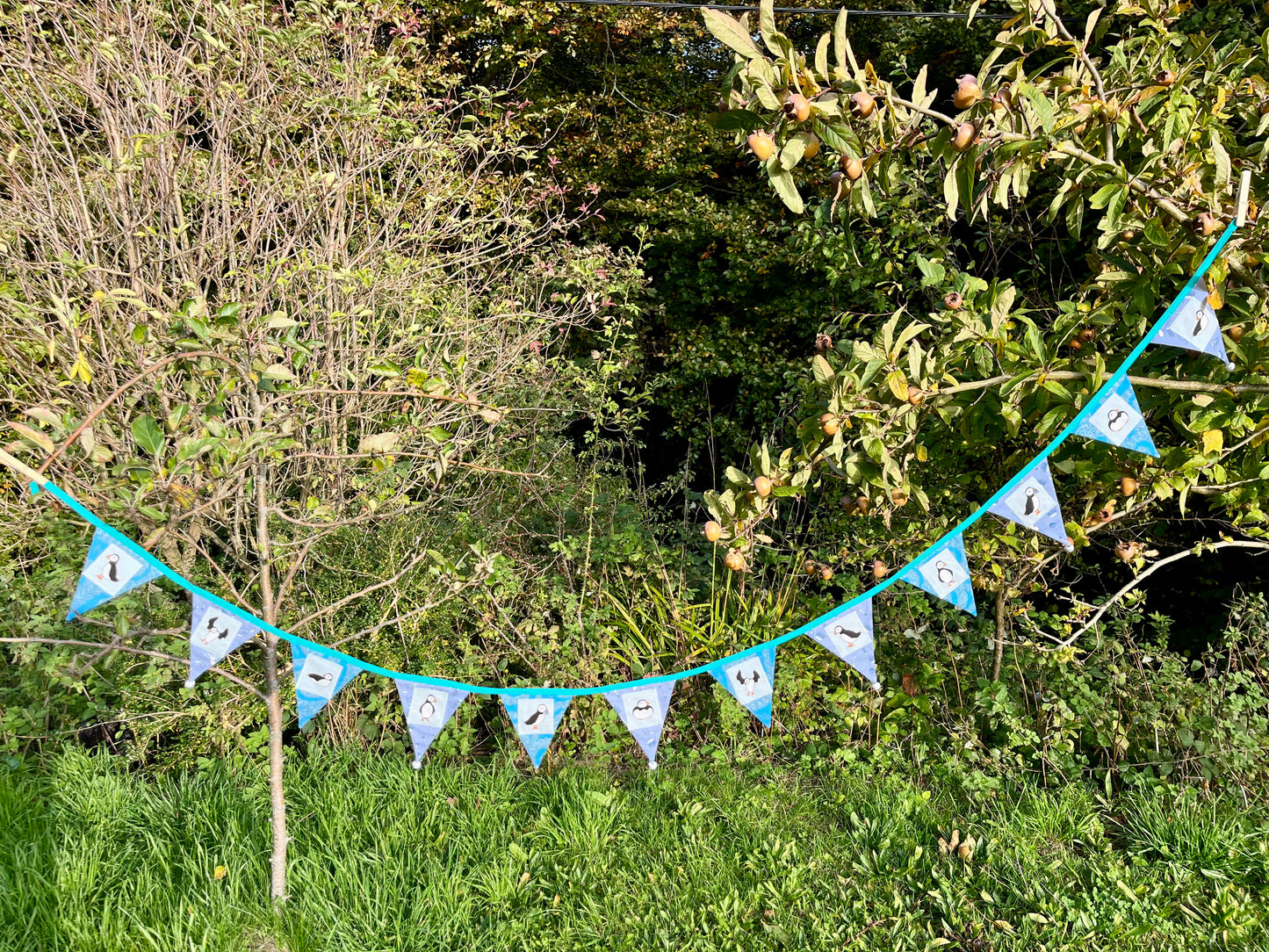 Puffin or penguin bunting.