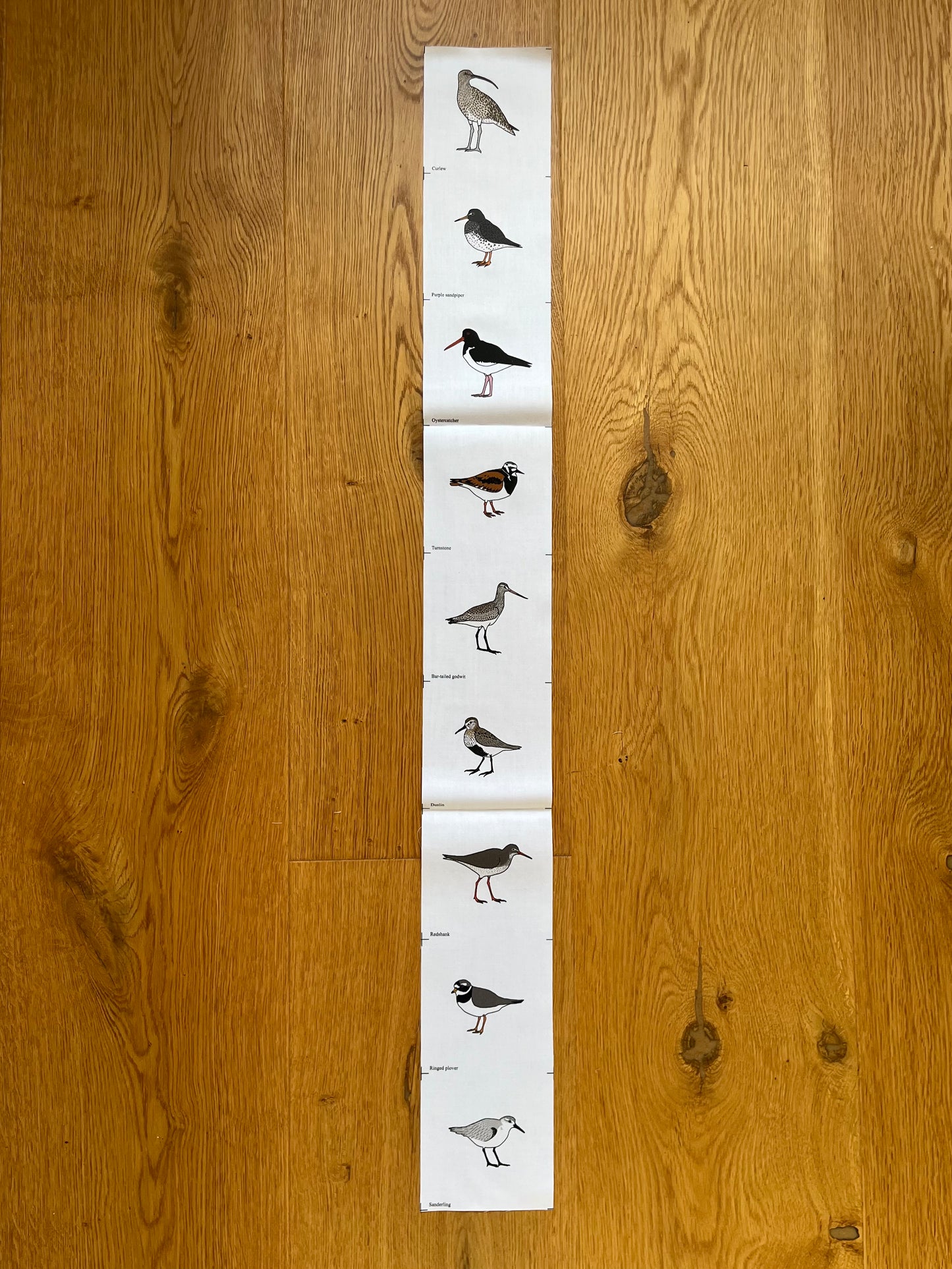 Shorebirds fabric strip - 9 images