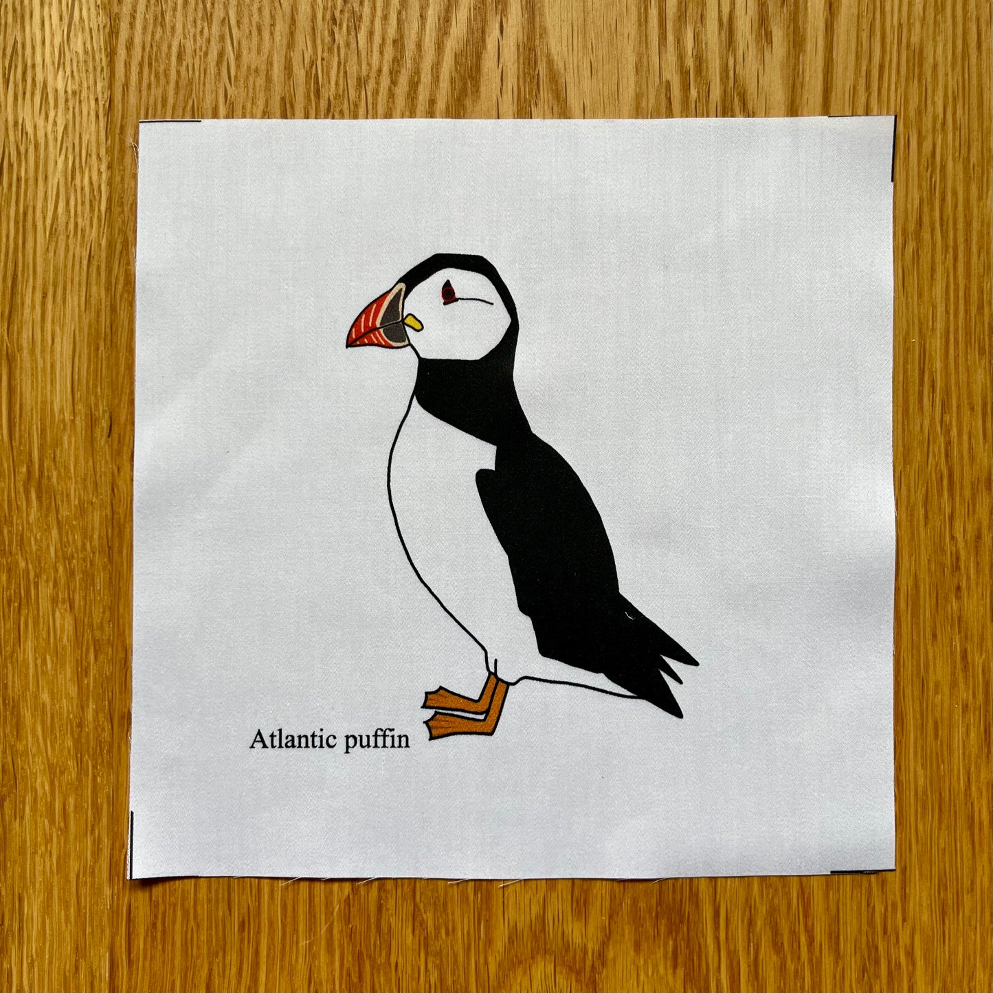 Atlantic puffin fabric squares