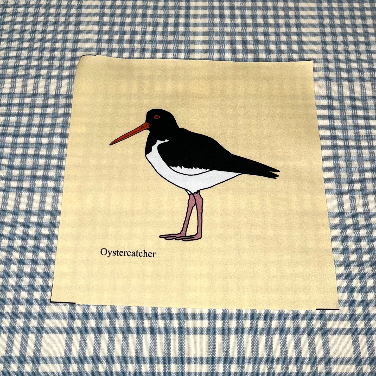 Shore birds large fabric squares