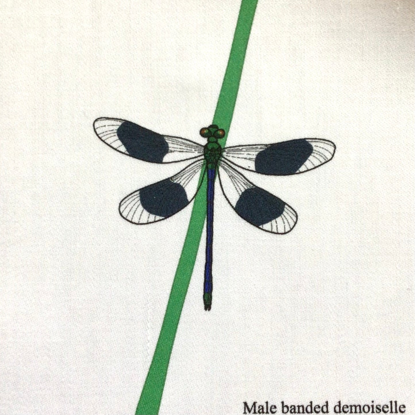 Damselfly fabric strip, 3 images