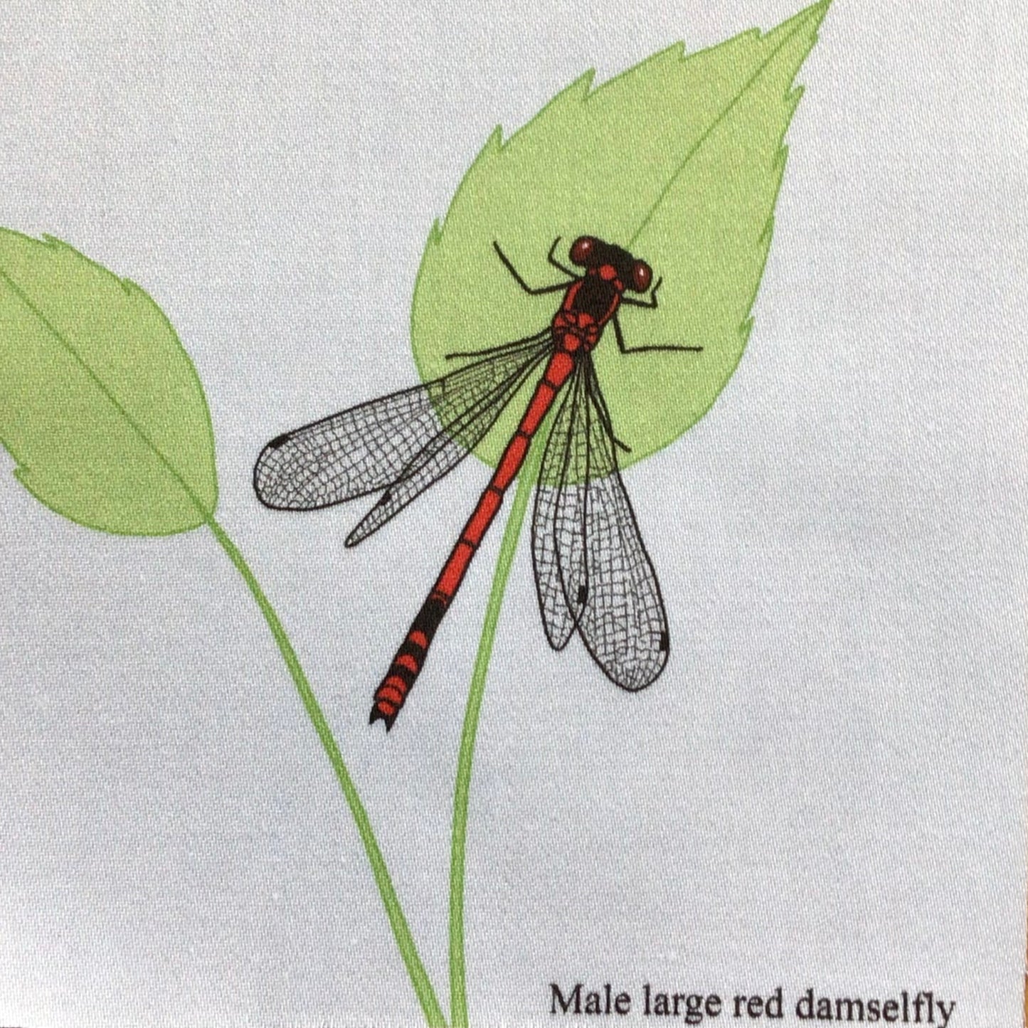 Damselfly fabric strip, 3 images