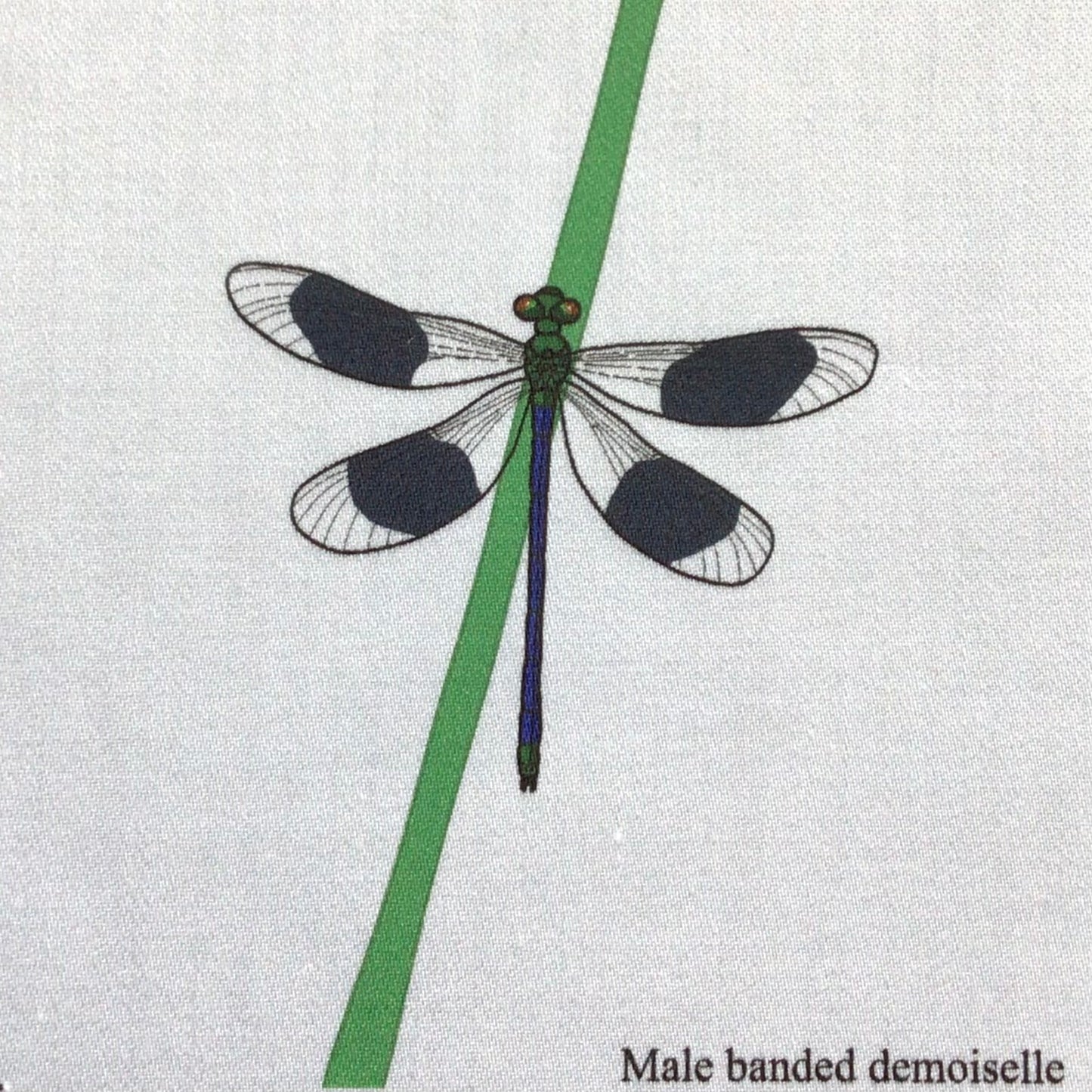 Damselfly fabric strip, 3 images