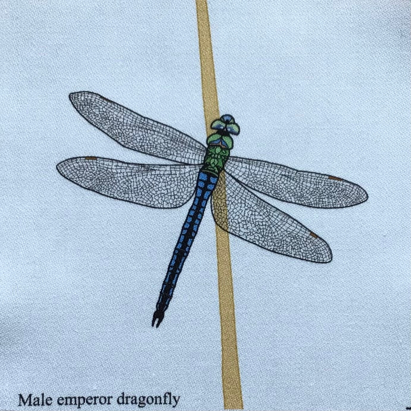 Dragonfly fabric strip, 3 images