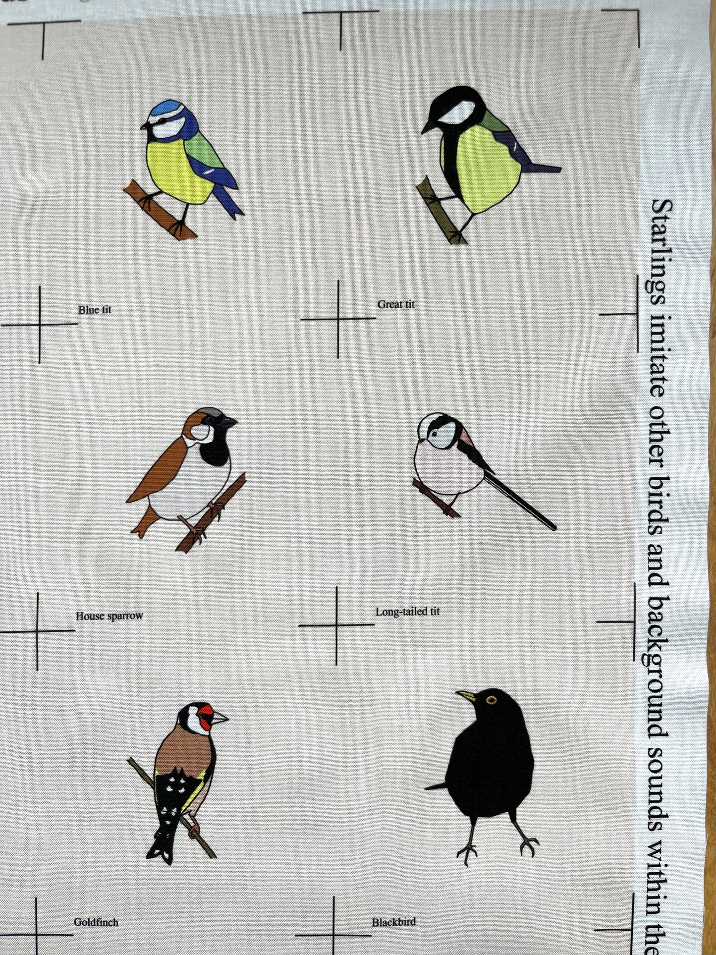 Garden bird panel - 12 designs