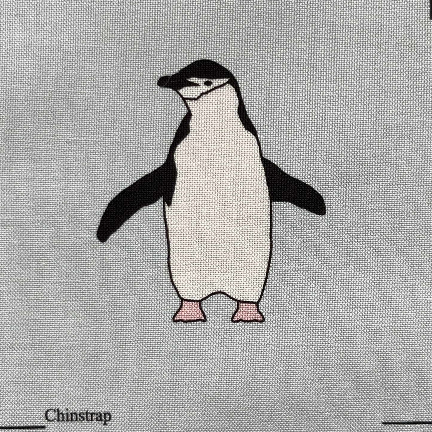Penguin panel - 12 images