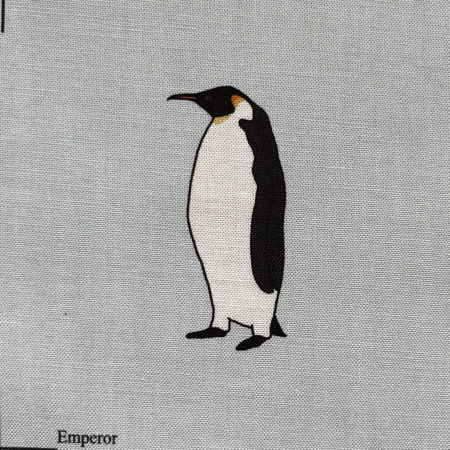 Penguin panel - 12 images