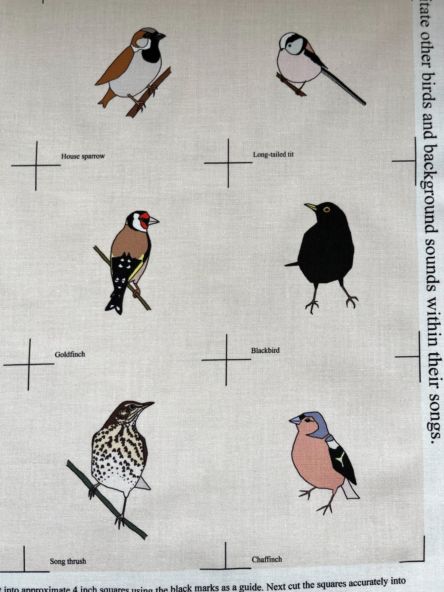 Garden bird panel - 12 designs