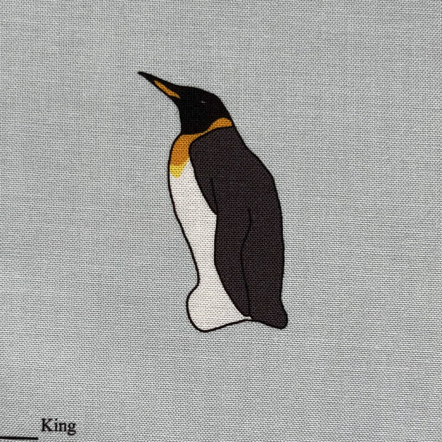 Penguin panel - 12 images
