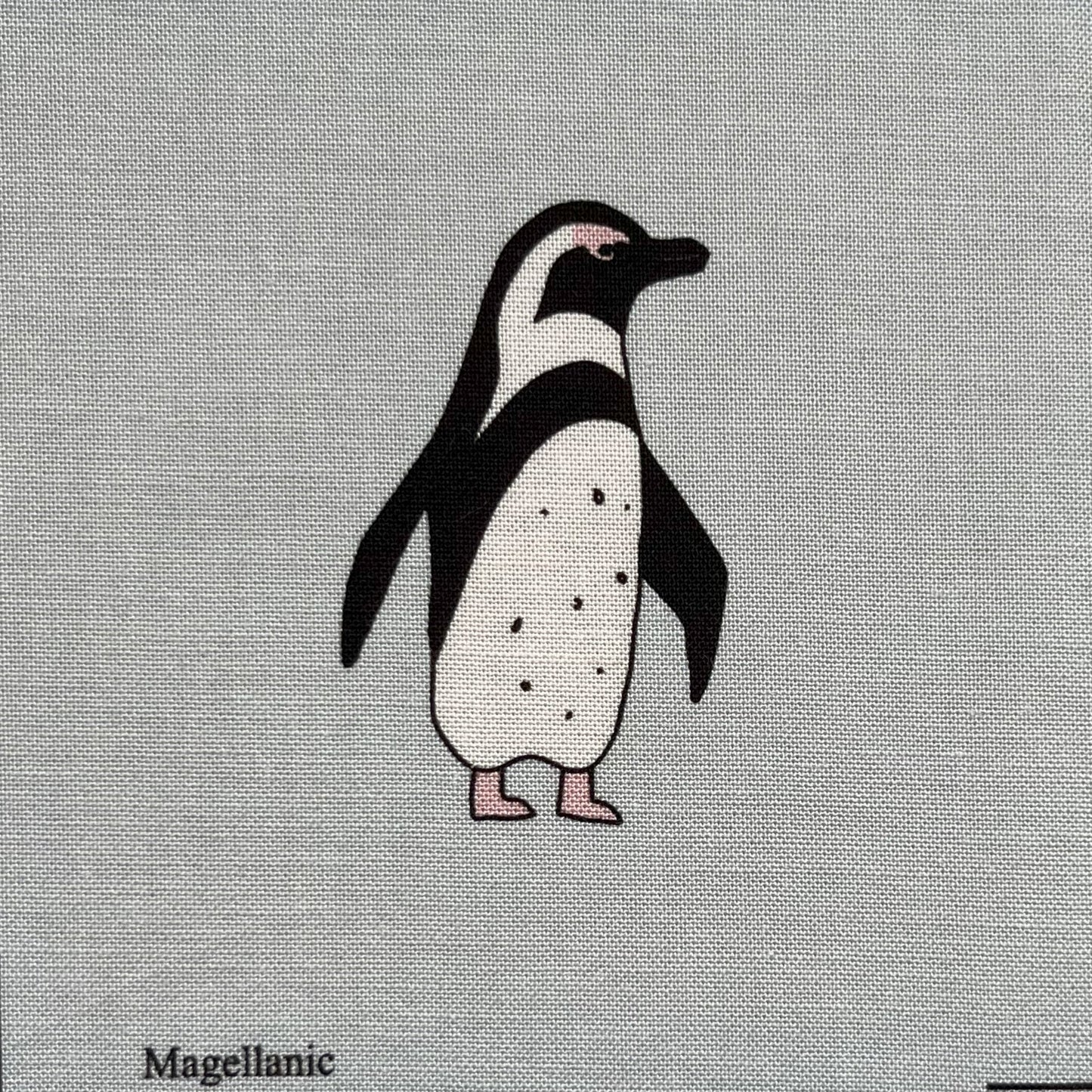 Penguin panel - 12 images
