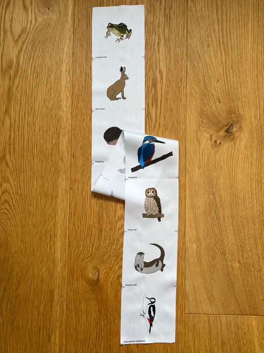 Favourite animals strip