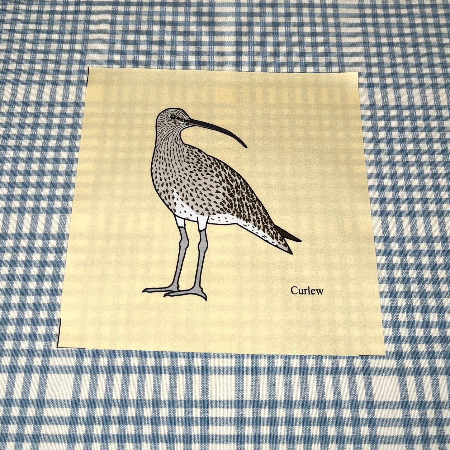 Shore birds large fabric squares