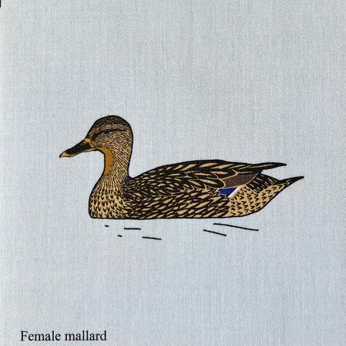 Freshwater duck strip - 9 ducks
