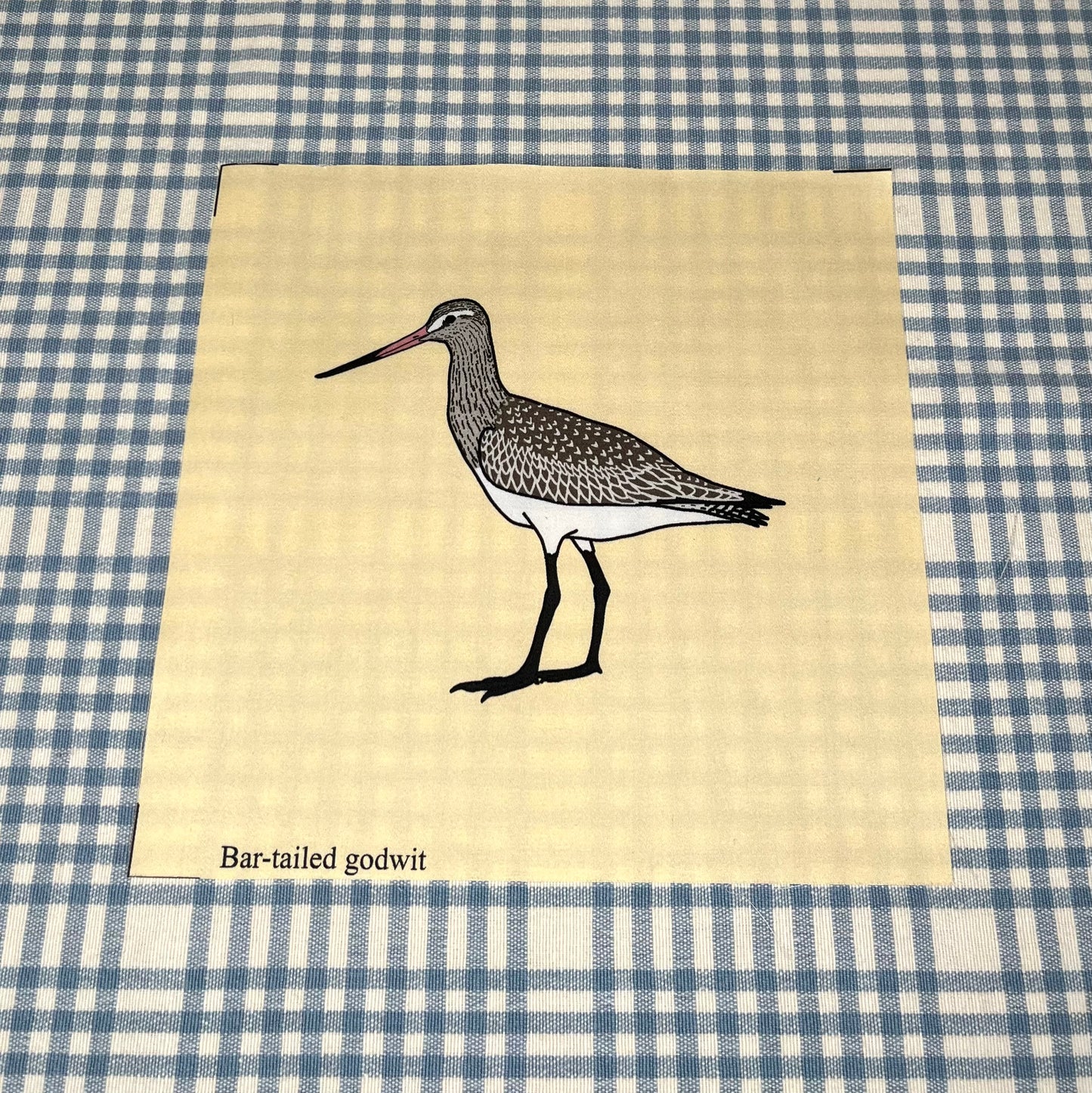 Shore birds large fabric squares