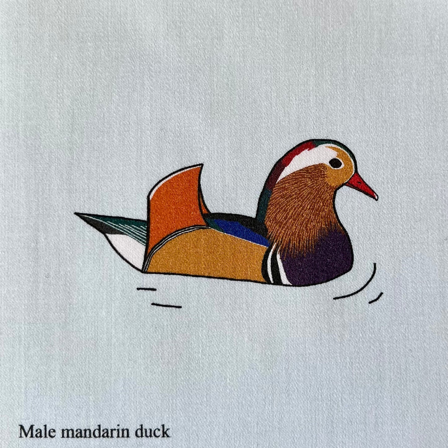 Freshwater duck strip - 9 ducks