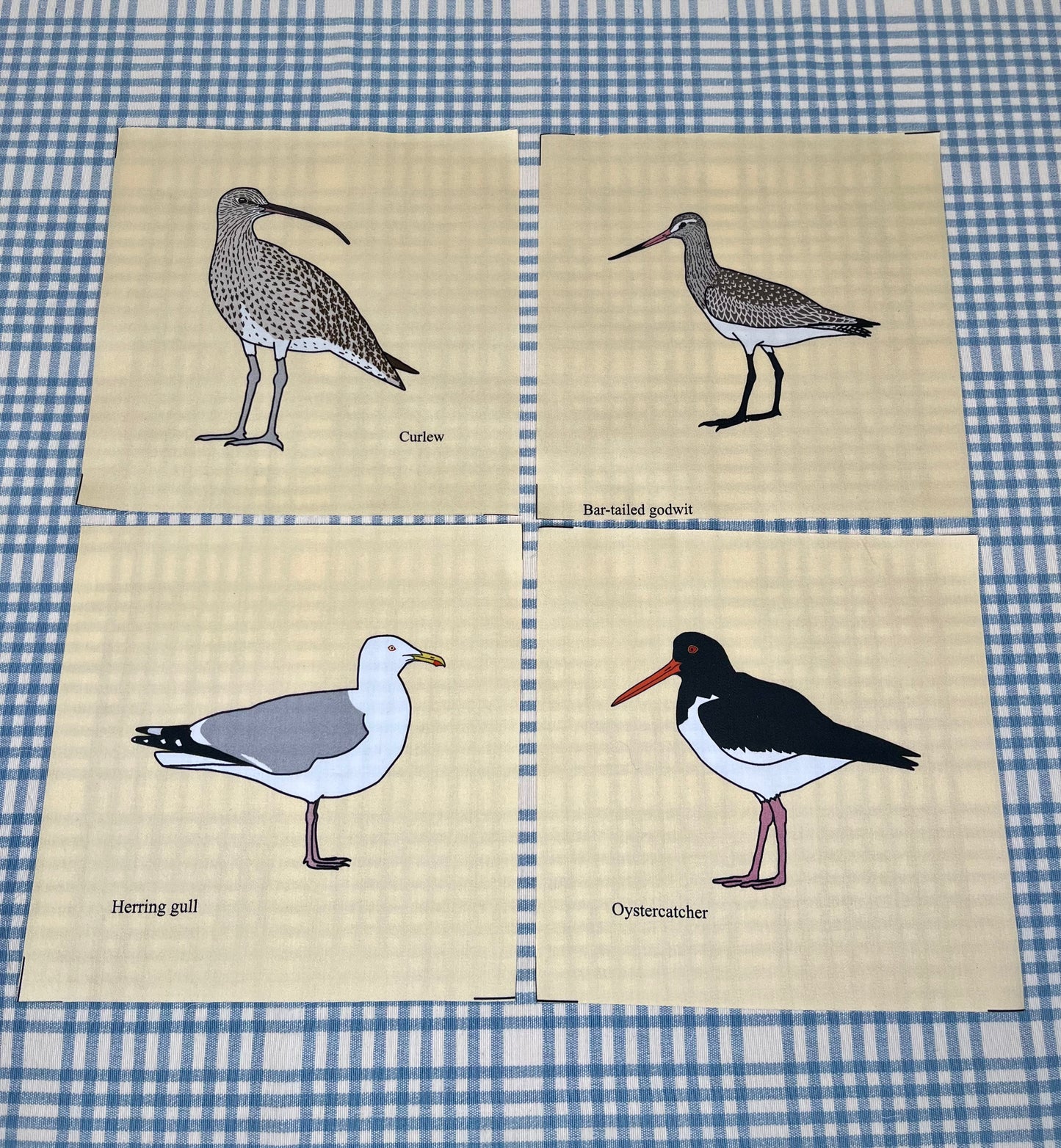 Shore birds large fabric squares