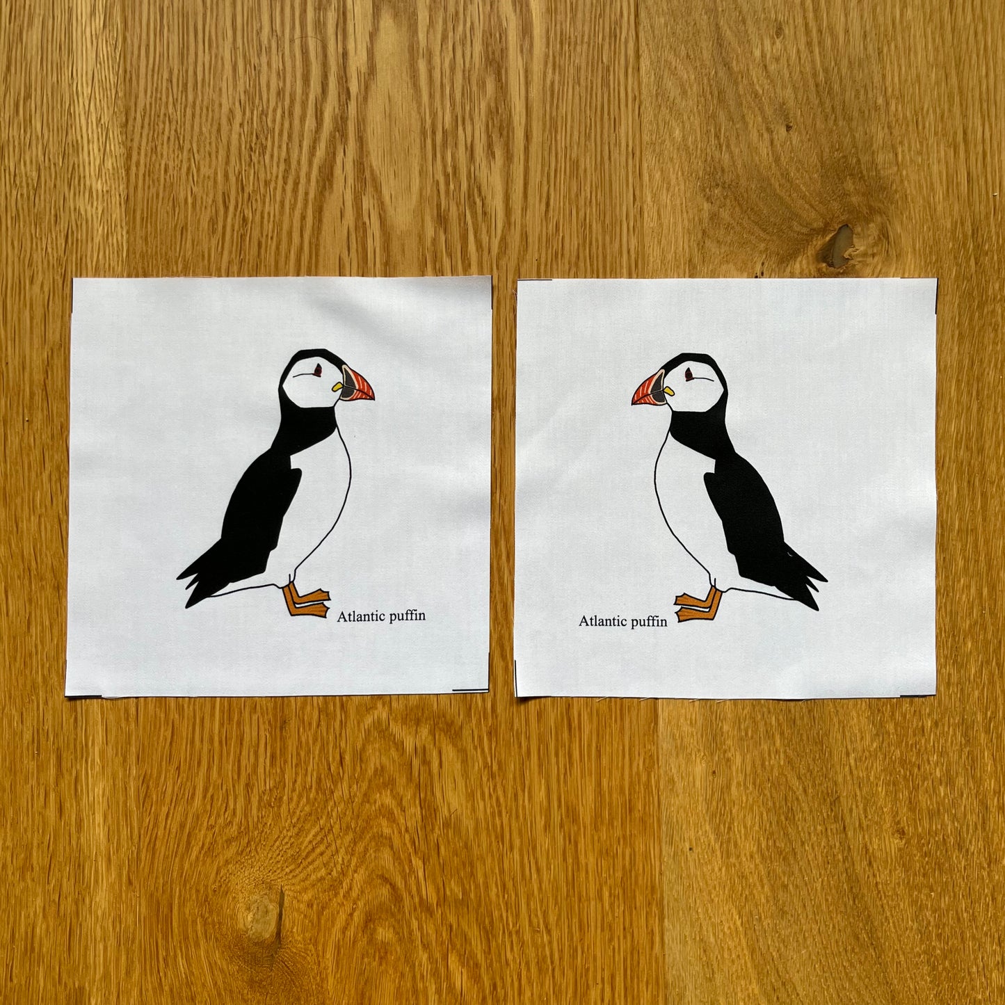 Atlantic puffin fabric squares