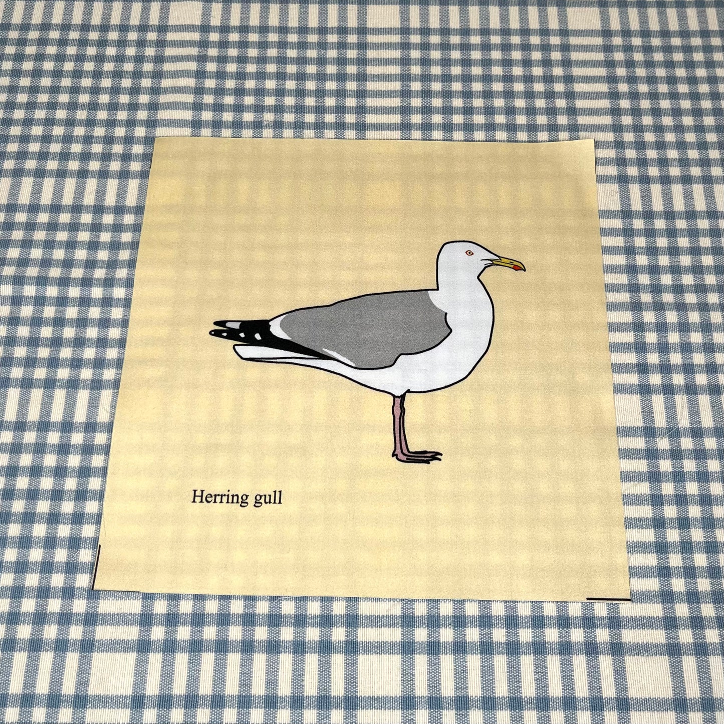 Shore birds large fabric squares