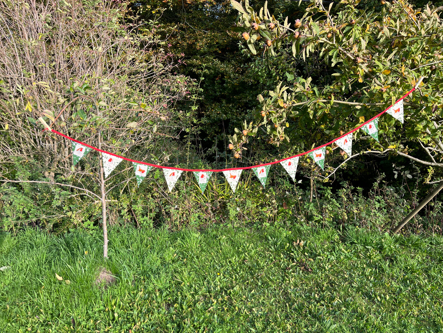 Robin bunting fabrics