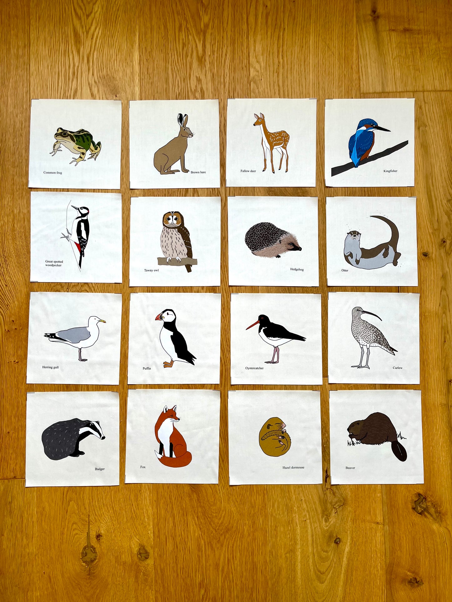 Large animal squares - singles