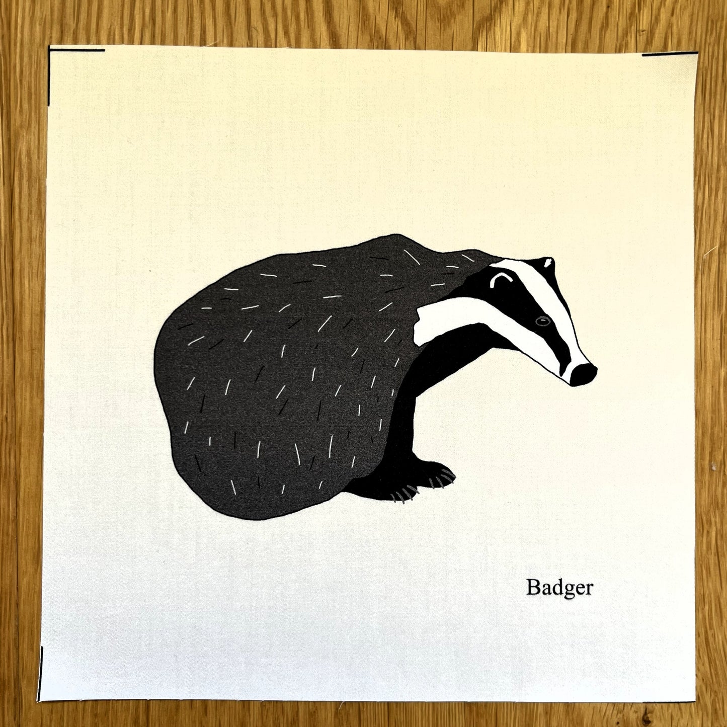 Large animal squares - singles