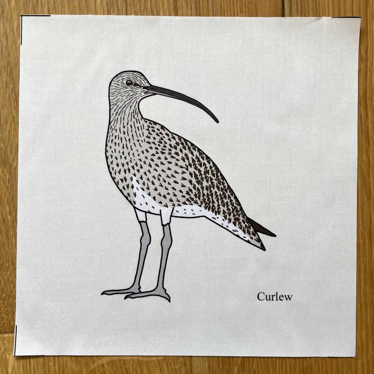 Large animal squares - singles