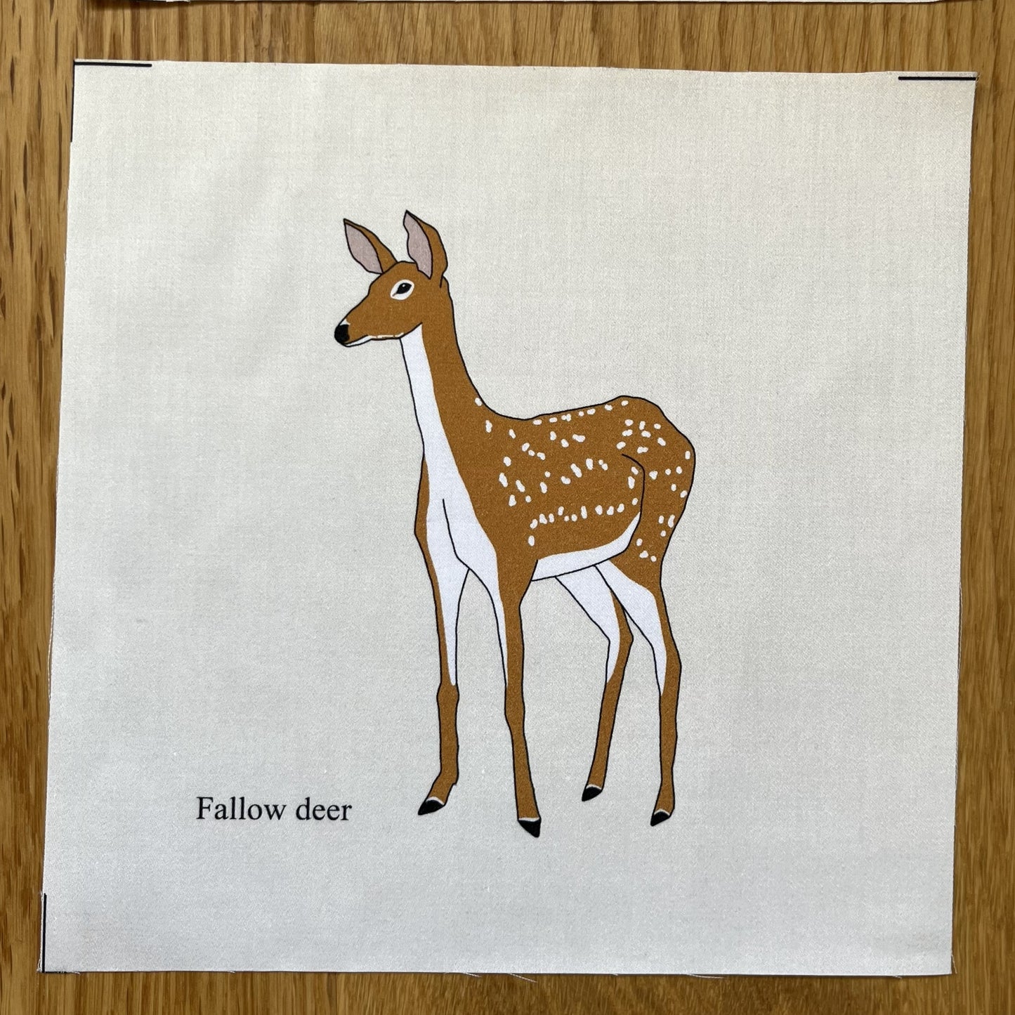 Large animal squares - singles