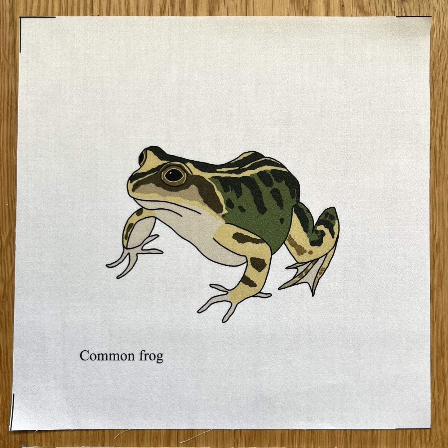 Large animal squares - singles