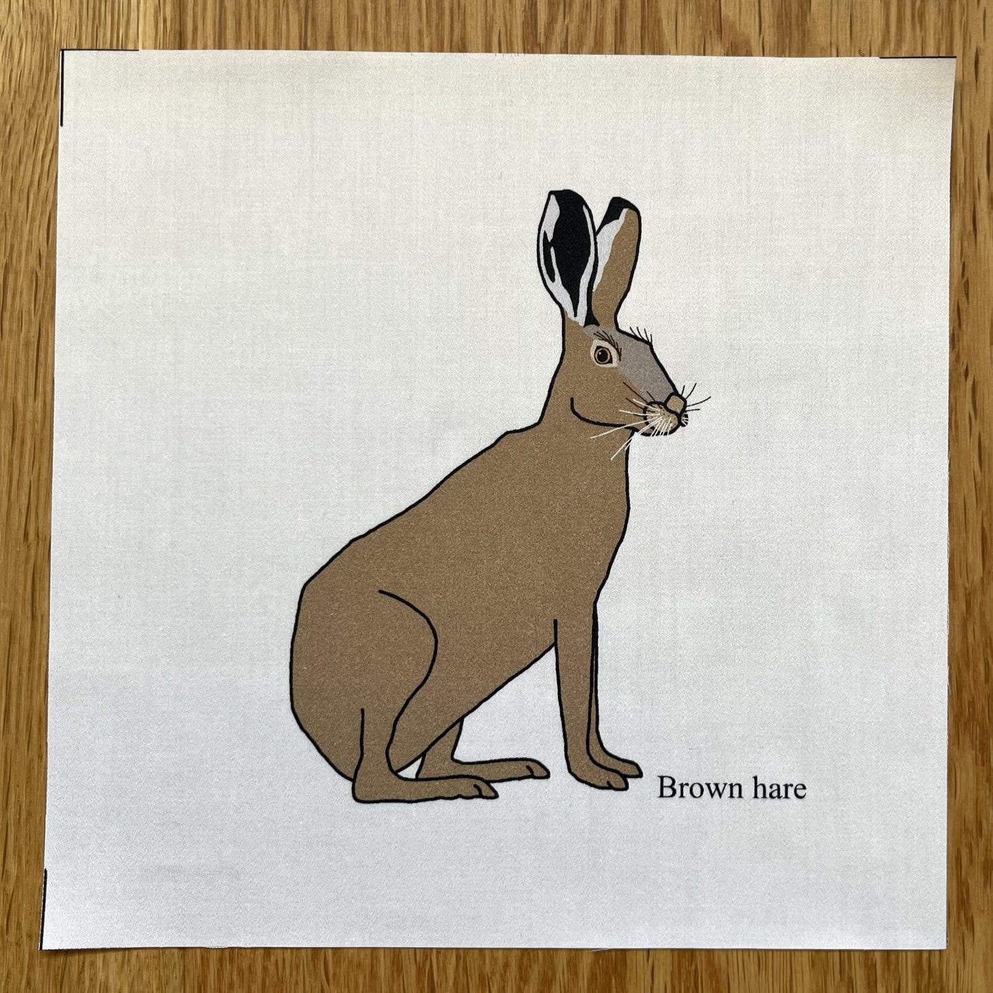 Large animal squares - singles
