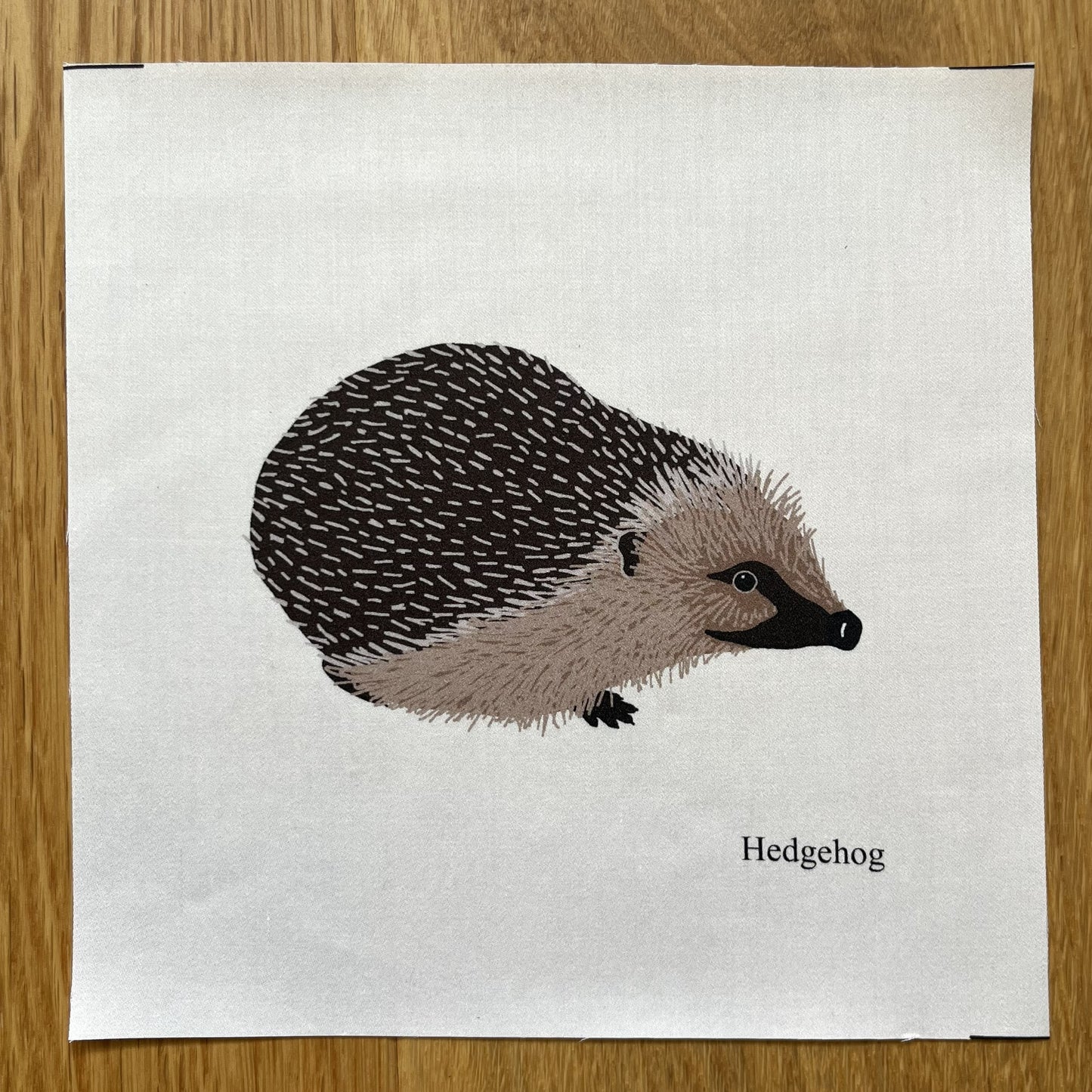 Large animal squares - singles