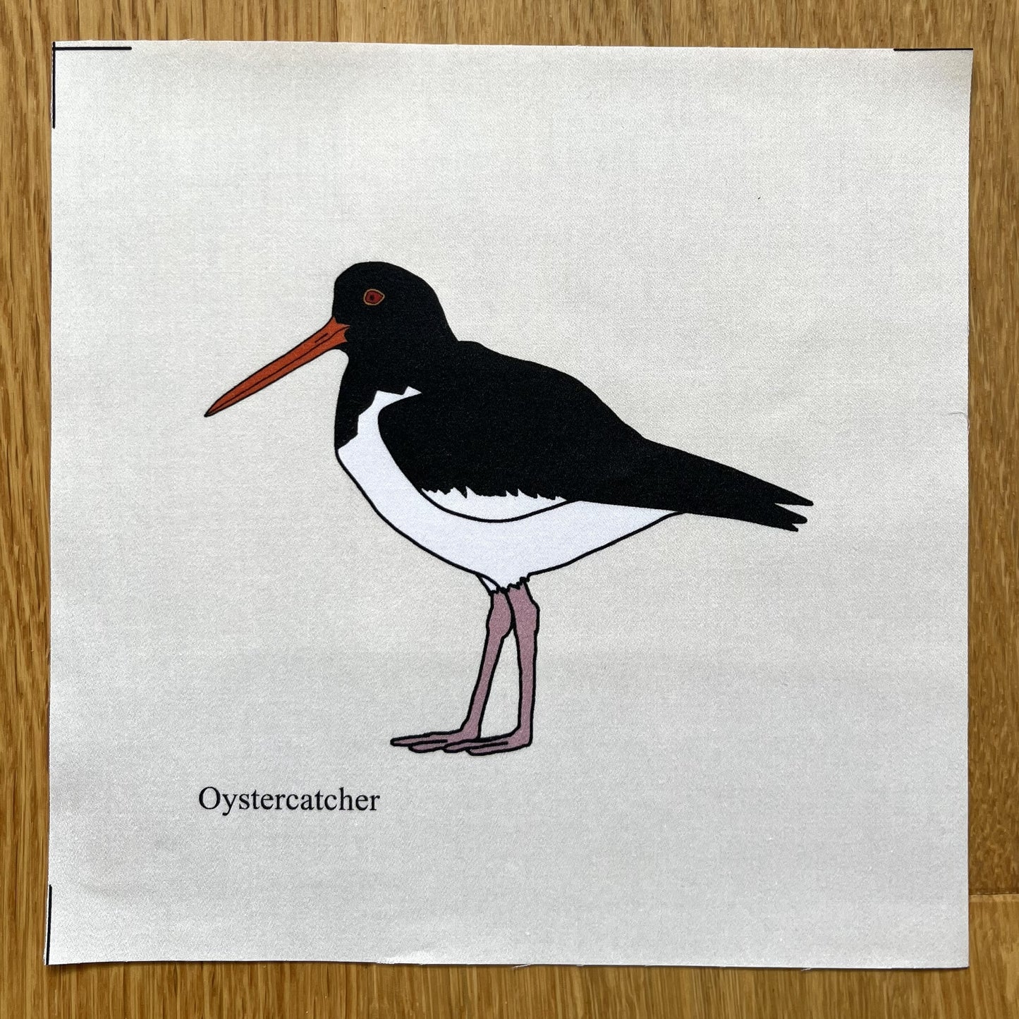 Large animal squares - singles