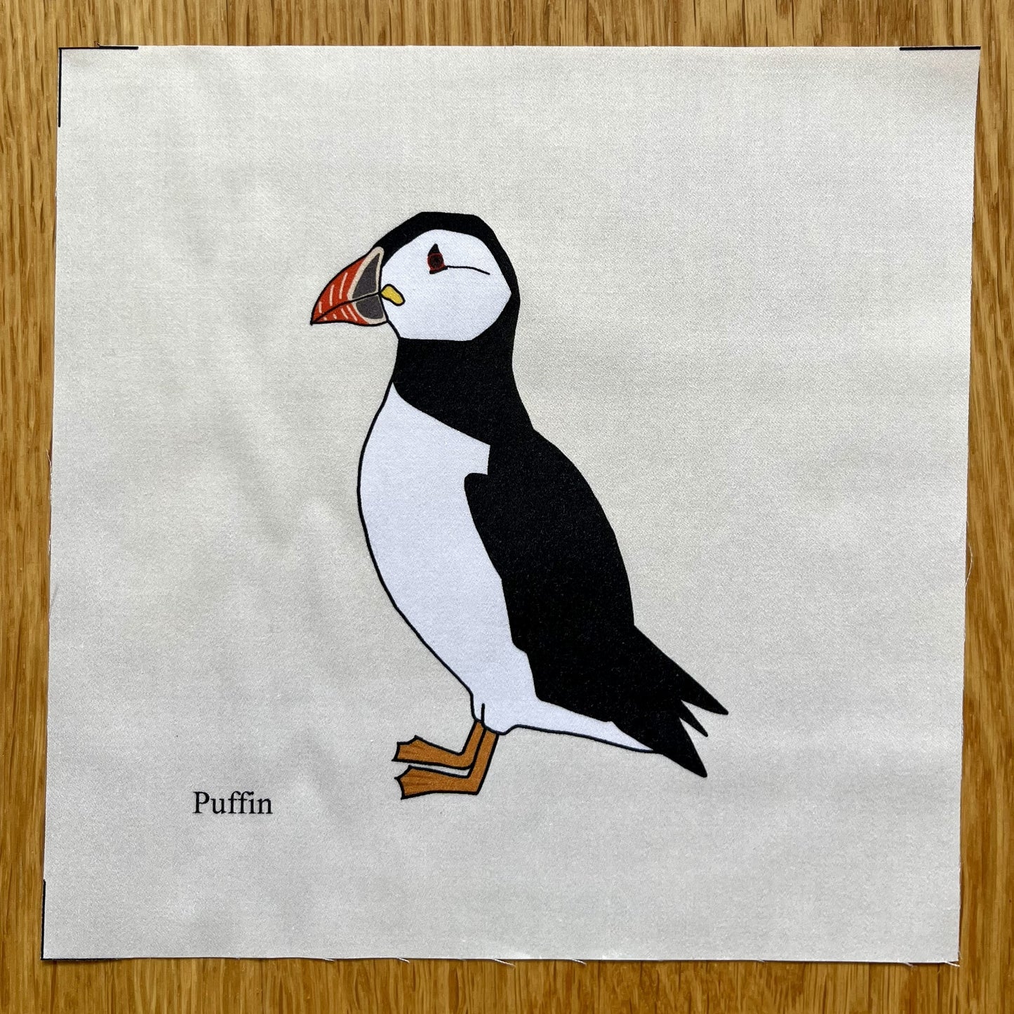 Large animal squares - singles