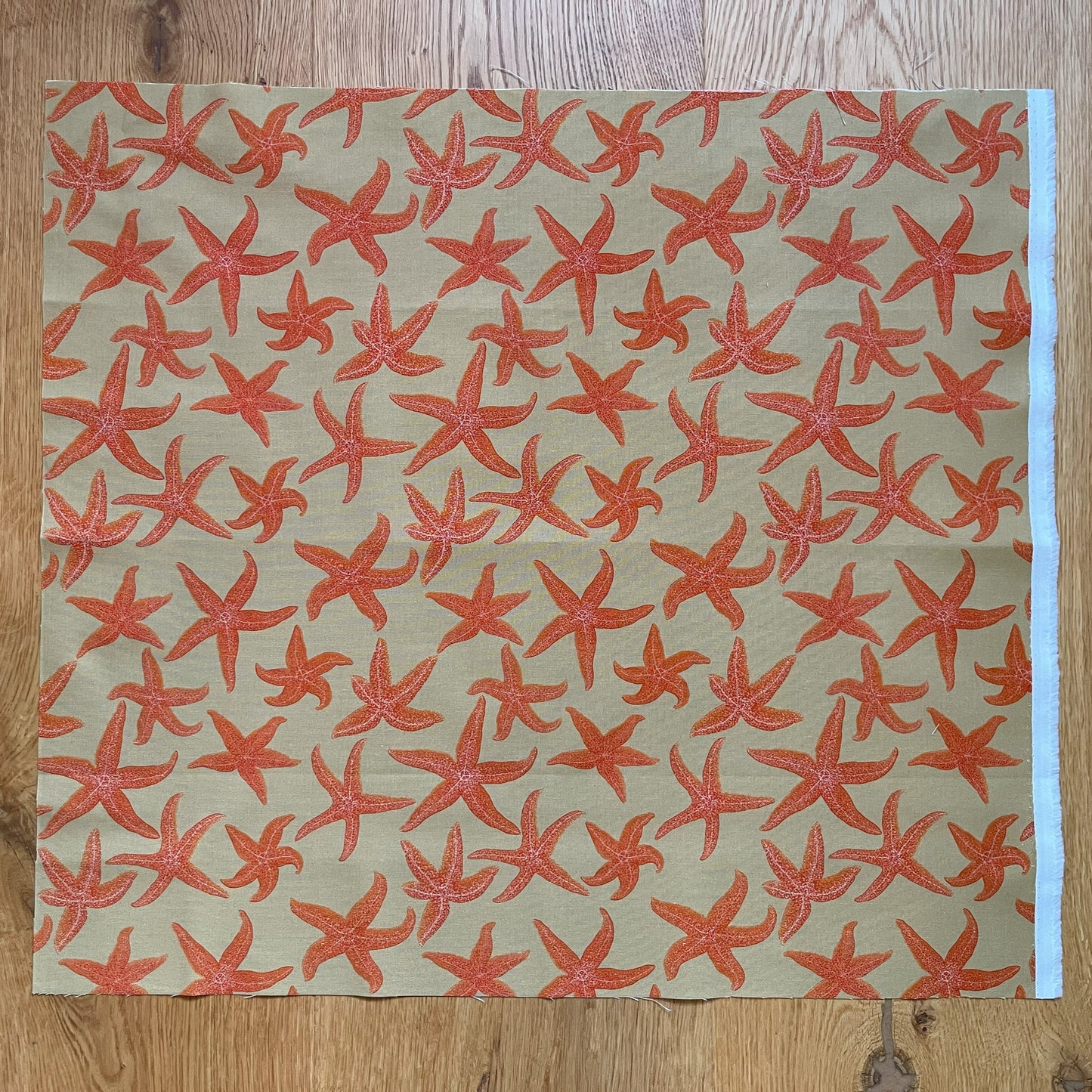 Starfish fat quarter - sand background