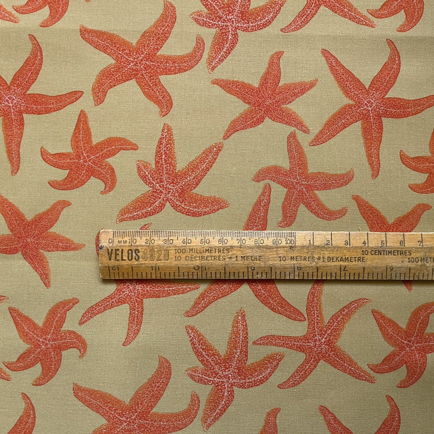 Starfish fat quarter - sand background