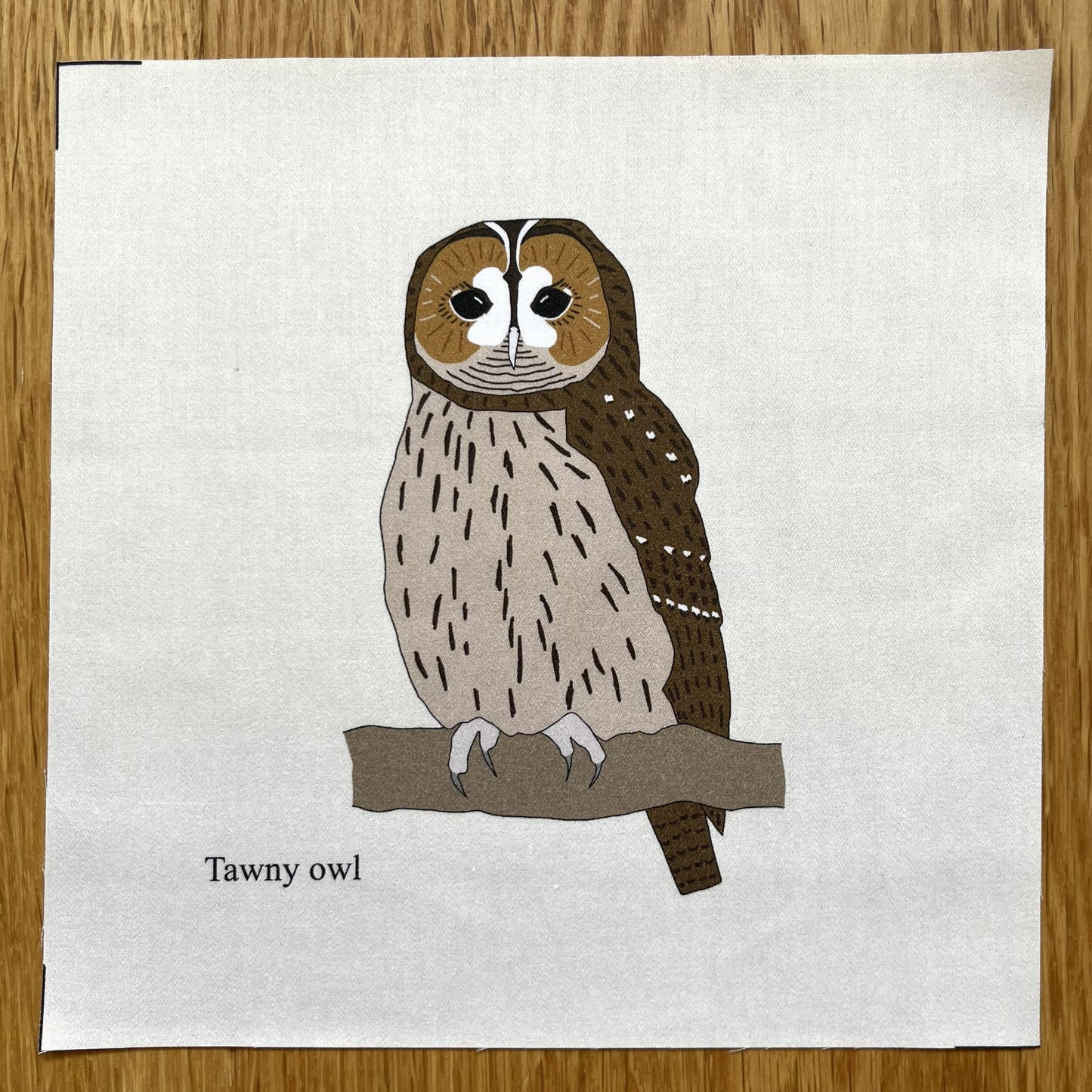 Large animal squares - singles