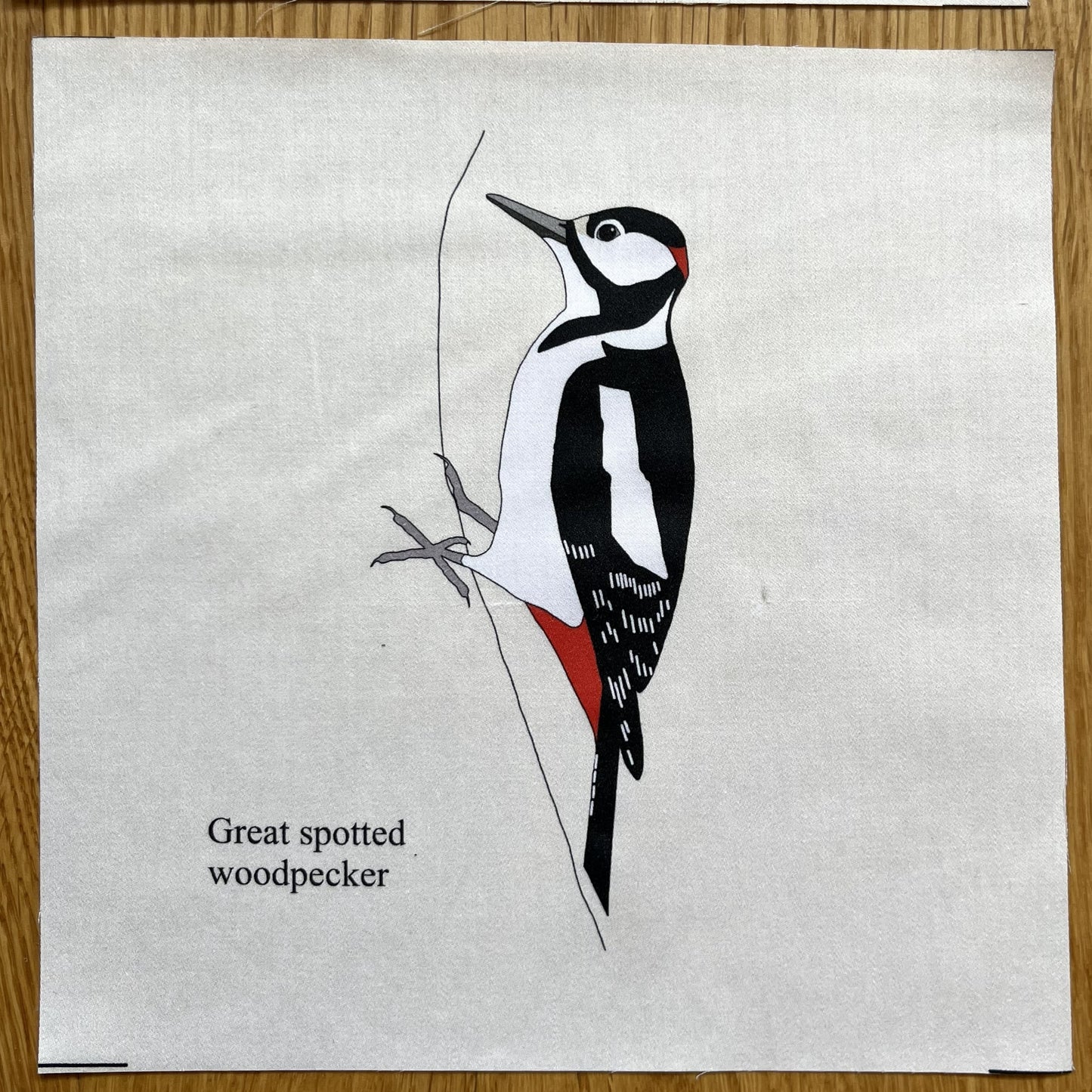 Large animal squares - singles